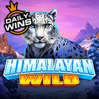 Persentase RTP untuk Himalayan Wild oleh Pragmatic Play